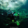 Picture taken during the dive