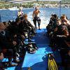 Picture taken during the dive