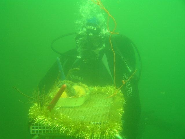 Leštinka-Základna Počepických - Dive Center in República Checa