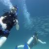 Picture taken during the dive