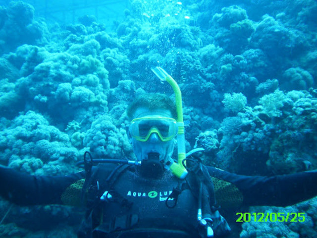 Bubblers Diving - Dive Center in Saudi Arabia
