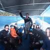 Picture taken during the dive