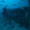 Picture taken during the dive