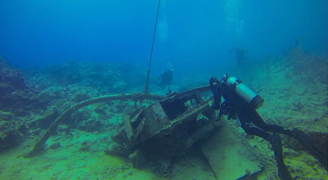 The Dive Centre-The Big Fish - Dive Center in Cook Islands