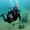 Picture taken during the dive