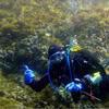 Picture taken during the dive