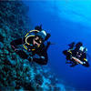 Picture taken during the dive