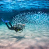 Picture taken during the dive