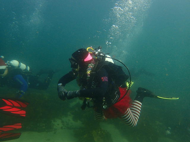Dive Centre Bondi - Dive Center in Australia