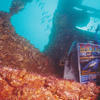 Picture taken during the dive
