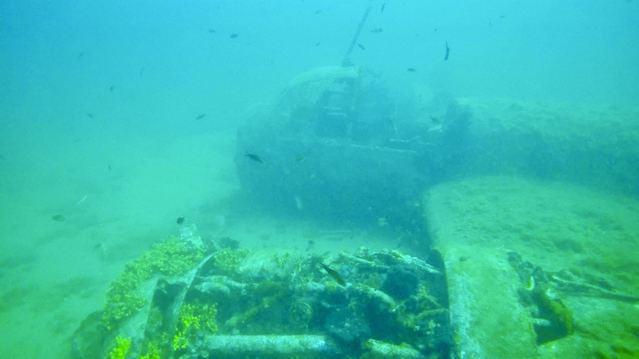 Orca Diving Center - Dive Center in Italy