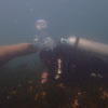 Picture taken during the dive