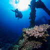 Picture taken during the dive