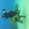 Picture taken during the dive