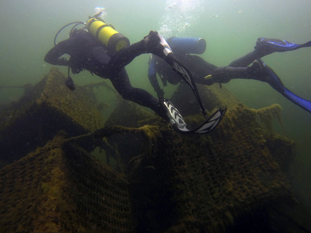 Scuba Guy Diving - Dive Center in United States