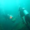 Picture taken during the dive