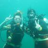 Picture taken during the dive