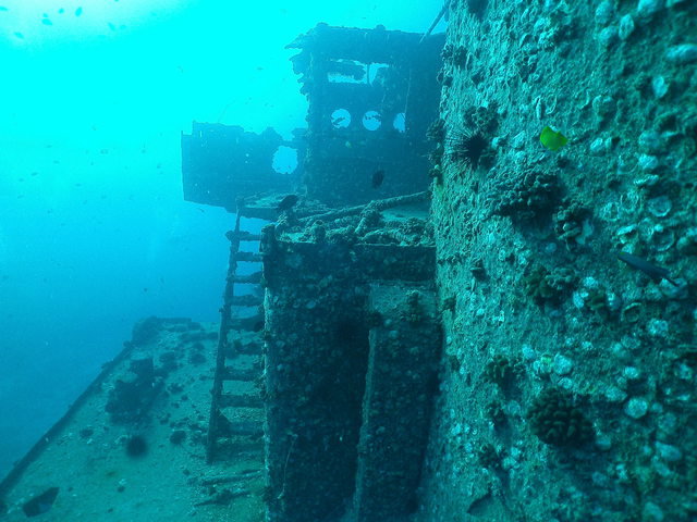 Deep Ecology-North Shore - Dive Center in United States