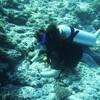 Picture taken during the dive