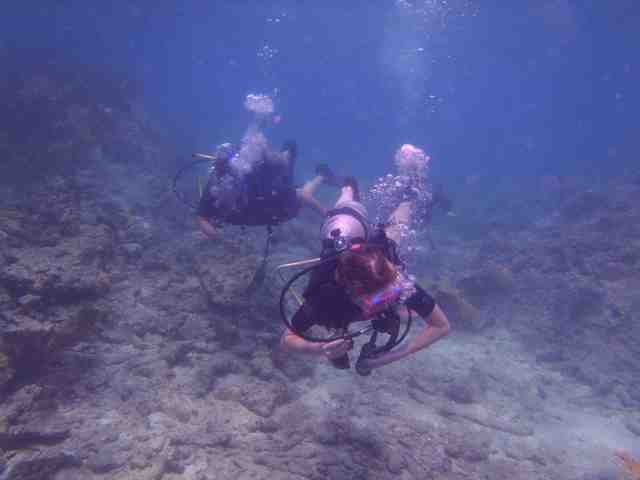 Blue Water Divers - Dive Center in British Virgin Islands