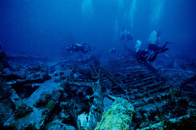 Blue Water Divers - Dive Center in British Virgin Islands