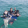 Picture taken during the dive