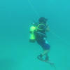 Picture taken during the dive