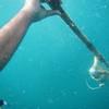 Picture taken during the dive
