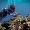 Picture taken during the dive