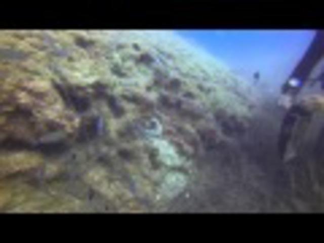 Scuba Turtle Diving - Dive Center in Turkey