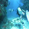 Picture taken during the dive