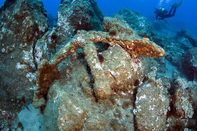 Azores Sub-Merg. Prof. Lda - Dive Center in Portugal