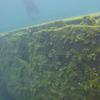 Picture taken during the dive