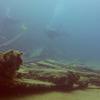 Picture taken during the dive