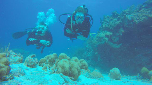 Diving in Islas Turcas y Caicos, Salt Cay - By Jeroam