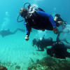Picture taken during the dive