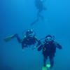 Picture taken during the dive
