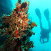 Picture taken during the dive
