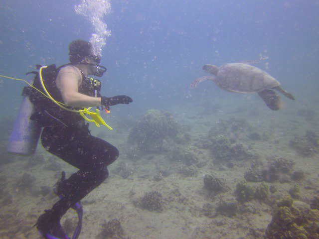 Dive Oahu - Dive Center in United States