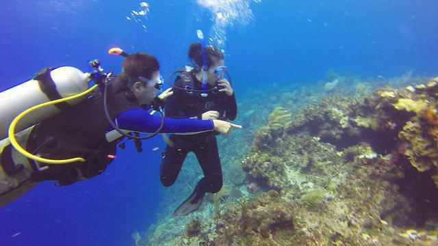 Diving in Colombia, San Andres island - By Luis López