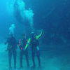 Picture taken during the dive