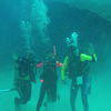 Picture taken during the dive