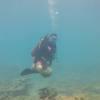 Picture taken during the dive