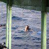 Picture taken during the dive