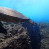 Picture taken during the dive