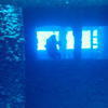 Picture taken during the dive