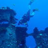 Picture taken during the dive
