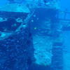 Picture taken during the dive