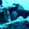 Picture taken during the dive