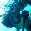 Picture taken during the dive